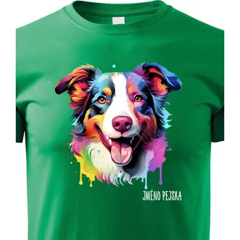 Chlapecké tričko Dětské tričko Border kólie, Barva Zelená, Velikost 146 cm/10 roků, Canvas Dětské tričko 2431