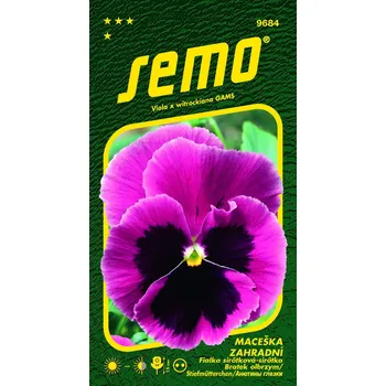 Semeno SEMO Maceška zahradní Mistral S1 růžová s okem 35 ks