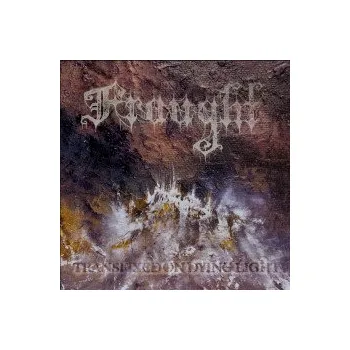 Zahraniční hudba Transfixed On Dying Light / Vinyl - Fraught [LP]