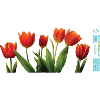 samolepka Celoroční adhézní samolepky na okna 35x16cm, Pár červených tulipánů