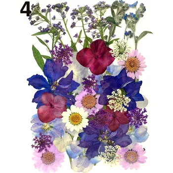 Sušené a lisované květiny do pryskyřice „D“ Druh: 4