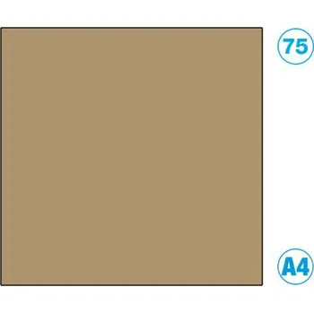 Kancelářský papír Papír A4 barevný hnědý světle