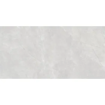 Dlažba NUEVA ALAPLANA DALKEY CAN5DALYDDFA 60 x 120 x 1 šedá 1,43 m2