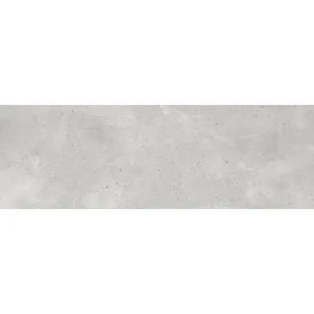 Dlažba ARGENTA CONCRETE & SOLID 47962 30 cm x 90 cm x 0,7 cm šedá 1,62 m2