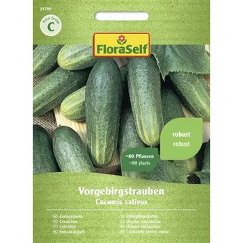 Semeno Okurka nakládačka Vorgebirgstrauben FloraSelf