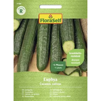 Semeno Okurka salátová Euphya FloraSelf F1 hybrid