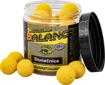 Carp Servis Václavík Boilies Balanc 25…