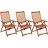 vidaXL 310293 skládací zahradní židle z masivního akáciového dřeva 3 ks hnědá