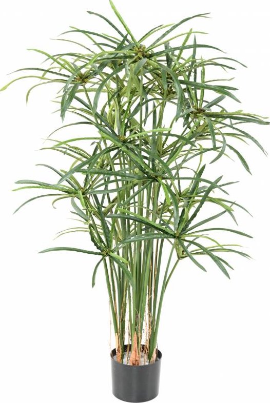 Luxusní umělá rostlina PAPYRUS ALTERNIFOLIUS BERRIES, 130cm