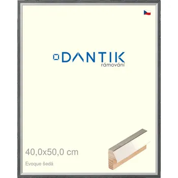 Rám na obraz DANTIK rámeček 40x50 | EVOQUE šedá (Plexi Čiré) (Vyrobeno s láskou u nás v DANTIKU)