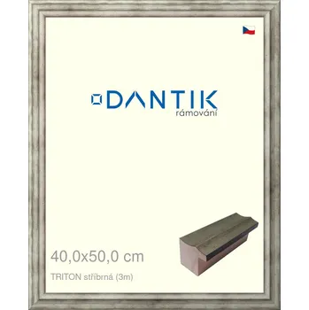 Rám na obraz DANTIK rámeček 40x50 | TRITON stříbrná (Sklo Čiré) (Vyrobeno s láskou u nás v DANTIKU)