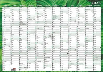 Kalendář Baloušek Tisk Nástěnný roční kalendář Listy 2025 