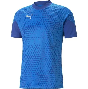 Pánský dres Puma TEAMCUP TRAINING JERSEY TEE L Světle modrá, Modrá, Bílá