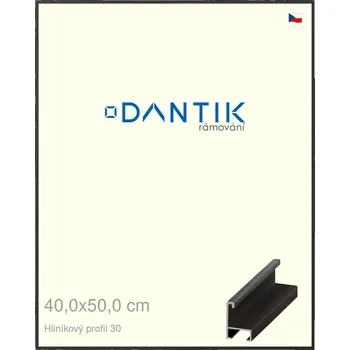 Rám na obraz DANTIK rámeček 40x50 | ALU profil 6030 Dýha černá (Sklo Čiré) (Vyrobeno s láskou u nás v DANTIKU)