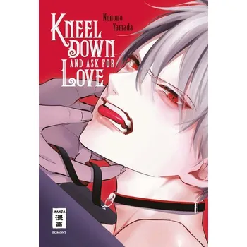 Komiks pro dospělé Kneel Down and Ask for Love - Yamada, Nonono