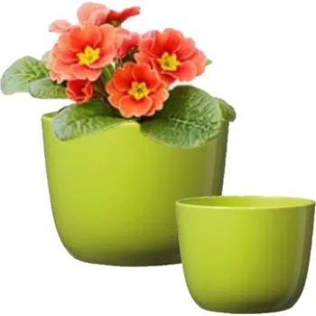 Obal na květináč obal (S)na primule pr11cm zelený lesklý