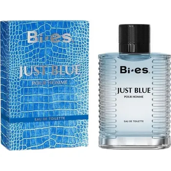 Pánský parfém BI-ES Just Blue pánská toaletní voda 100ml