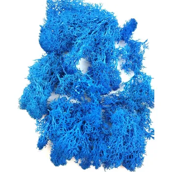 Stabilizovaný / preparovaný mech (lišejník) do pryskyřice barevný 20 g Barva: Modrá