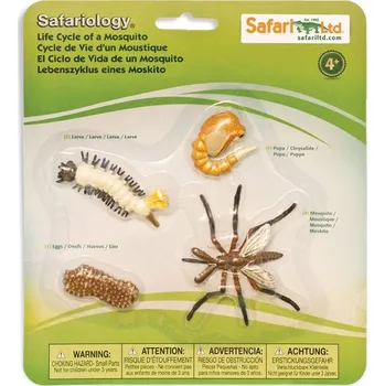Figurka Safari, Životní cyklus - Komár