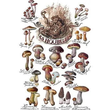 Plakát Les Houbeles Naše jedlé houby A2