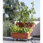 BAMA Sada truhlíků ORTO DI BAMA TR