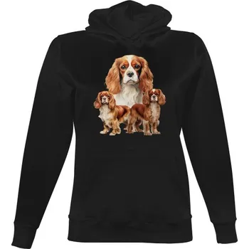 Dámská mikina Dámská mikina s kapucí s potiskem Tři Kavalíři dámské