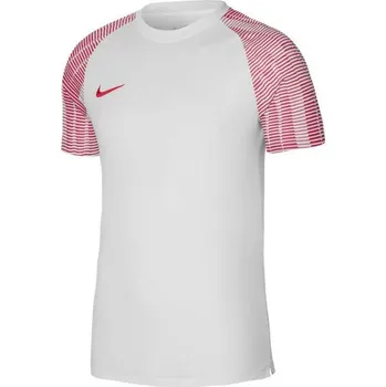 Pánské Funkční Tričko Dri-Fit Academy SS M - Nike, S (173 cm) i476_25678084