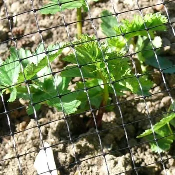 Síť proti ptákům Síťka proti ptákům černá 30g/m², 2x10m