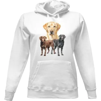 Dámská mikina Dámská mikina s kapucí s potiskem Tři Labradoři dámské