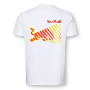 Oblečení a móda Týmové tričko Oracle Red Bull Racing F1 Hummel bílé Velikost: S
