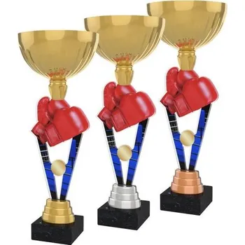 Poháry Bauer Akrylátová trofej ACUPGOLD M16 | Bojová umění