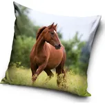 Carbotex Povlak na polštářek 40 x 40 cm