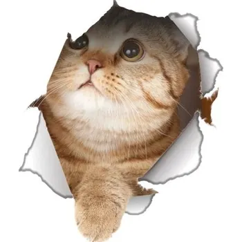 Samolepící dekorace Nálepka na zeď | 3D samolepka na zeď kočka - 5