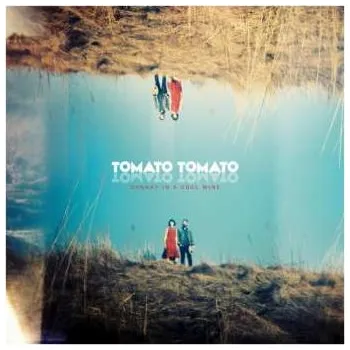 Zahraniční hudba LP Tomato Tomato: Canary In A Coal Mine 2019