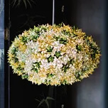 Kartell Bloom S1 LED závěsné světlo G9, zelená zelený 6 x 3,5 W LED - Doprava zdarma