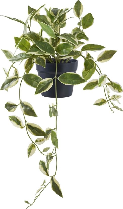 Nordic Living Umělá květina Hoya 33 cm