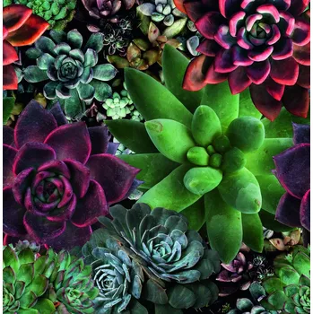 Fototapeta Vliesová fototapeta Art Aspiration 46701, 265 x 270 cm (Luxusní vliesová fototapeta na zeď)