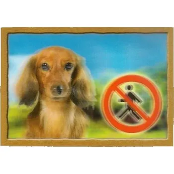 Plechová cedule Cedulka 3D PSI, Jezevčík dlouhosrstý