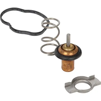 Chladič motoru Termostat, chladivo, , CONTINENTAL, 28.0200-4136.2