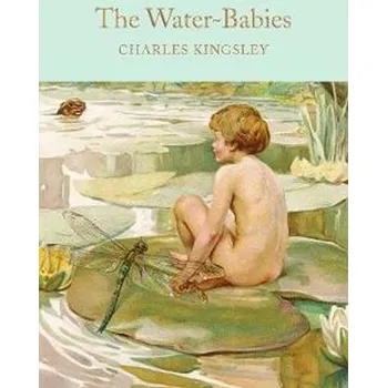 Cizojazyčná kniha The Water-Babies : A Fairy Tale for a Land-Baby