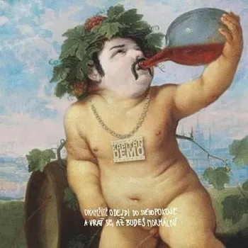 Zahraniční hudba CD Okamžitě odejdi do svého pokoje a vrať se, až budeš normální