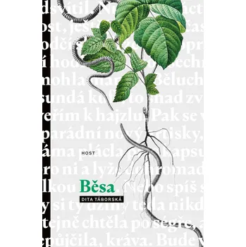 Kniha Běsa