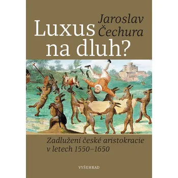 Luxus na dluh?