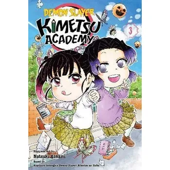 Beletrie pro dospělé Demon Slayer: Kimetsu Academy 3