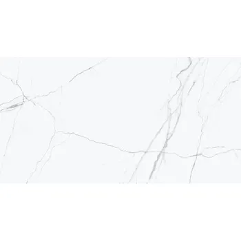 Stavební materiál EBS Acquilea dlažba 60x120 grigio lesklá