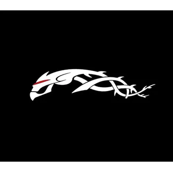 Samolepicí dekorace na vozidlo Samolepka lebka ostnatý drtát bílá 2 kusy