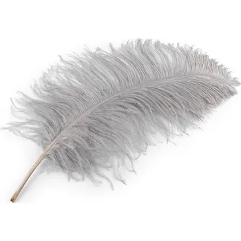 Pštrosí peří délka 50-55 cm