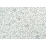 Vánoční prostírání na stůl Stelle 35x50 cm bílo-stříbrné, Sander