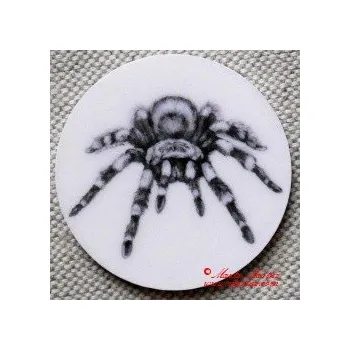 Pavouk sklípkan magnet nebo placka - Špendlík brožový