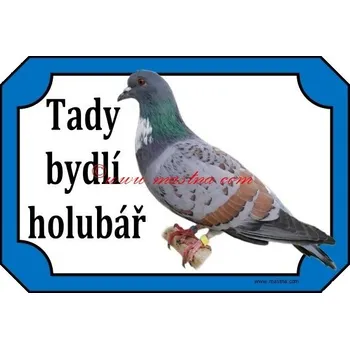 Chovatelství Cedulka holub košoa - Se samolepicí vrstvou